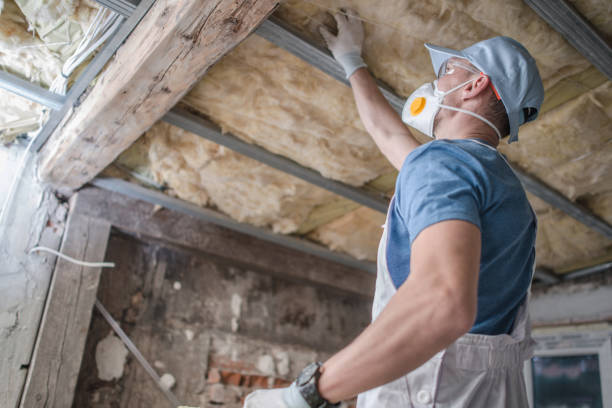 Best Attic Insulation Installation  in Weldon, NC